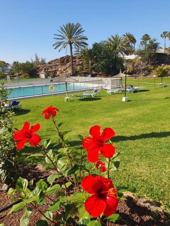 Casa Panorama 314 Maspalomas Appartement San Agustín