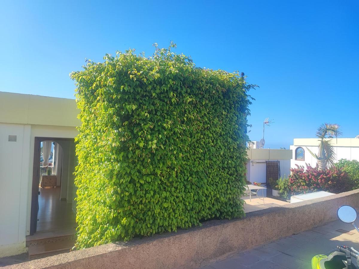 Casa Panorama 314 Maspalomas Appartement San Agustín